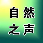上街区自然之声助听器经营中心