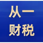 河南从一财税服务有限公司