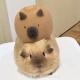 安佳怡的个人头像