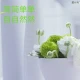张愉的个人头像