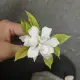 孟栩柯的个人头像