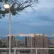 刘榀昱的个人头像