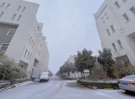 公司雪景